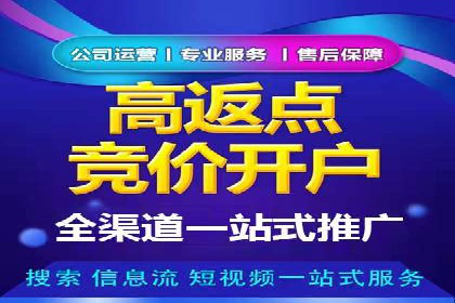 百度推广策略揭秘：某行业领头羊的成功经验