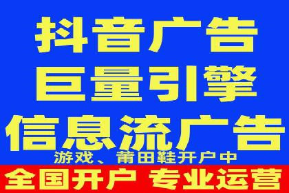 某行业领军企业的SEM广告投放策略